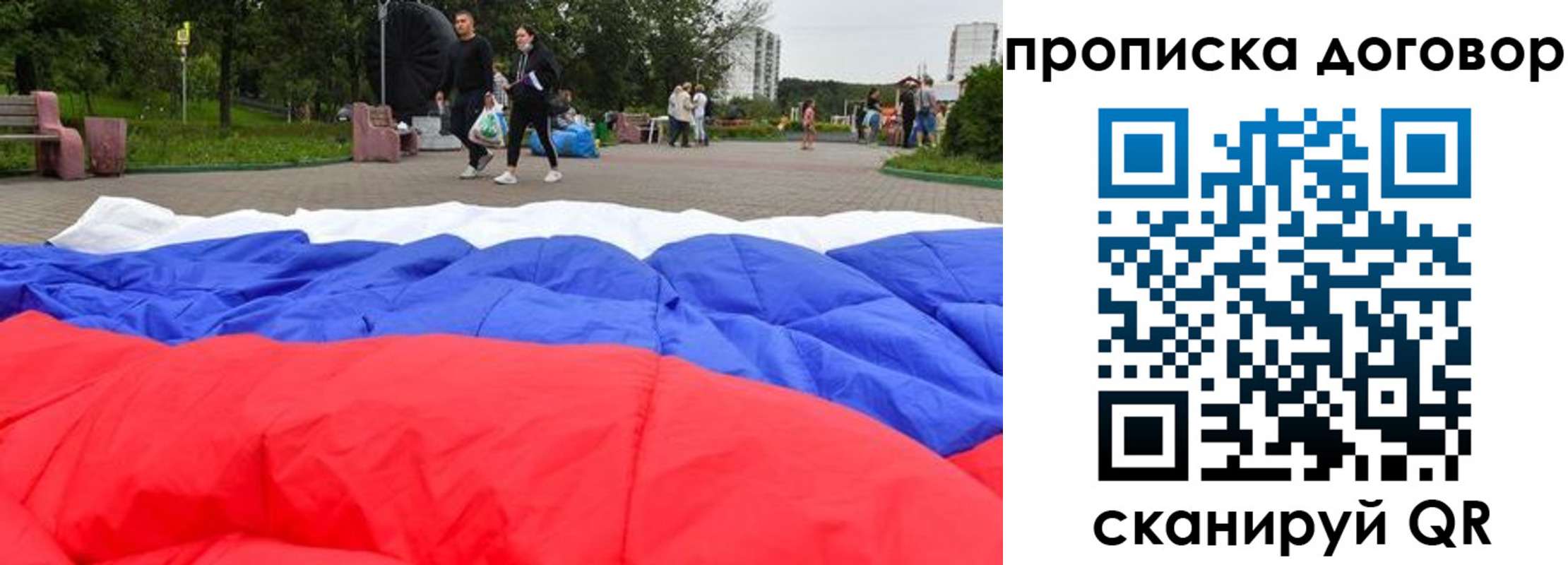 прописка поиск в Сольцах